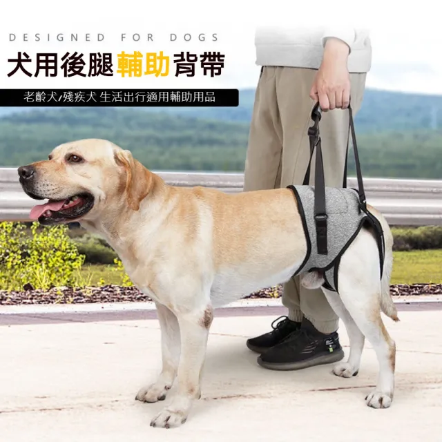 【Pet Universe 多寵宇宙】後肢輔助帶-北極灰(狗狗輔助帶 寵物輔助帶 狗輔助帶 老犬輔助帶 寵物輔助 老犬)