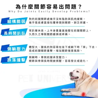 【Pet Universe 多寵宇宙】狗狗關節護具-長筒 2入/對(狗狗護膝 狗護膝 狗狗護肘 狗狗護具 狗復健 寵物護肘)