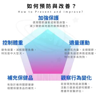 【Pet Universe 多寵宇宙】狗狗關節護具-短筒 2入/對(狗狗護膝 狗護膝 狗狗護肘 狗狗護具 狗復健 寵物護肘)