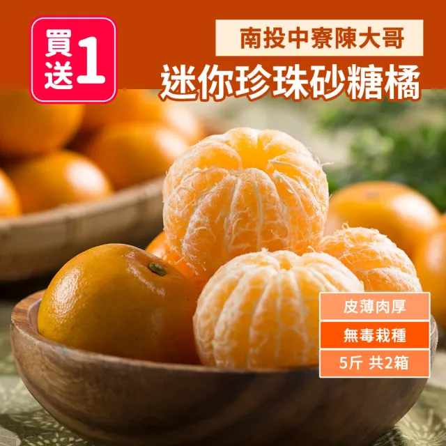 買一送一 迷你珍珠砂糖橘(5斤/箱-共2箱10斤 柑橘/橘子/柑仔/珍珠柑)