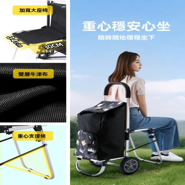 【達派屋】買菜小拉車 可坐人 爬樓輪 送彈力繩(收納推車 菜籃車 購物車 折疊手拉車 快遞拉車 預售12天)