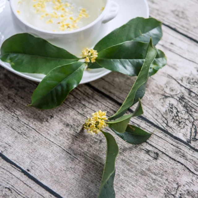 【茂格生機】清香乾燥桂花50gX2包入(黃金桂花 桂花茶)