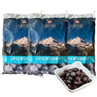 【幸美生技】美國進口鮮凍栽種藍莓3公斤組合(送驗A肝/諾羅/農殘/重金屬 檢驗通過)