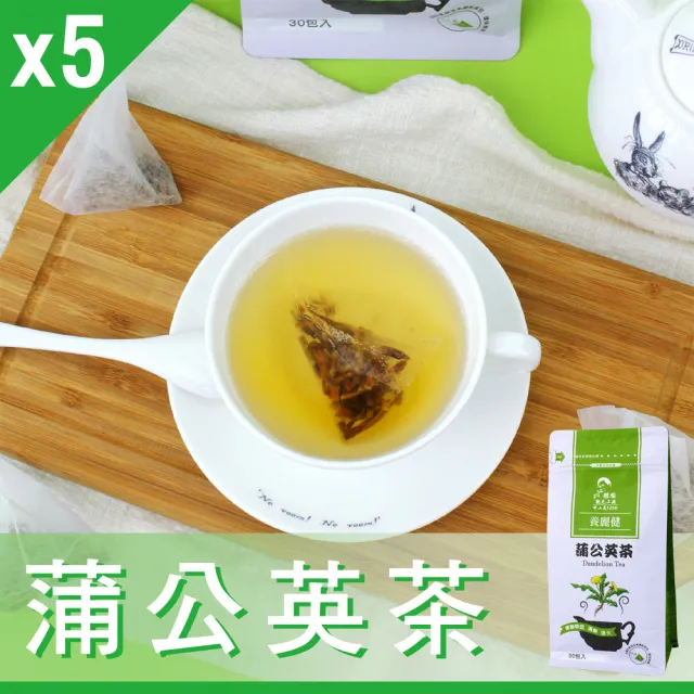 【Mr.Teago】蒲公英茶/養生茶-3角立體茶包x5袋(3gx30包/袋)