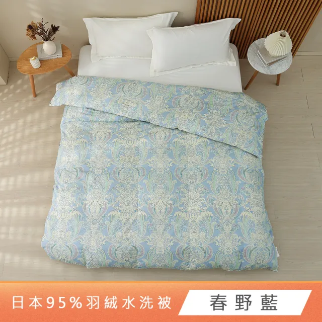 【HongYew 鴻宇】日規JIS 95D防絨水洗羽絨被 防蹣日本印花-多款任選(雙人200x220cm 冬被 棉被)