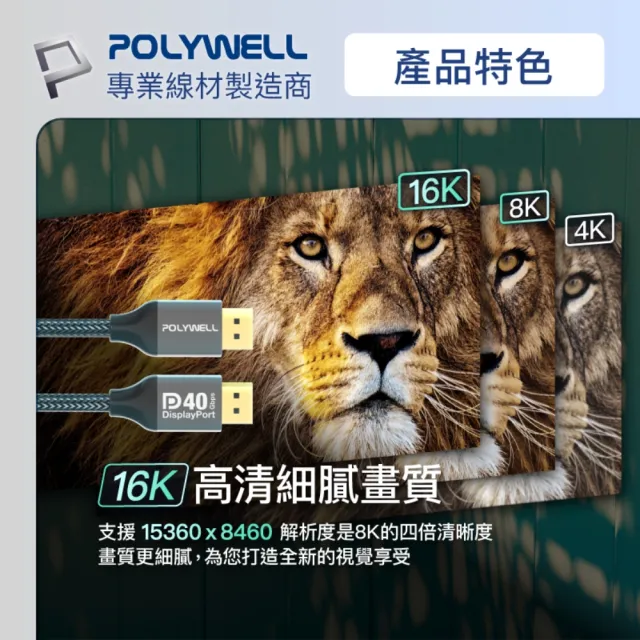 【POLYWELL】DP 2.0 40G 鋁合金編織線 /2M