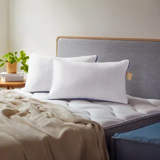 【Derek 德瑞克名床】3D透氣獨立筒枕-2顆相伴好睡(高彈力支撐 完美釋放壓力)