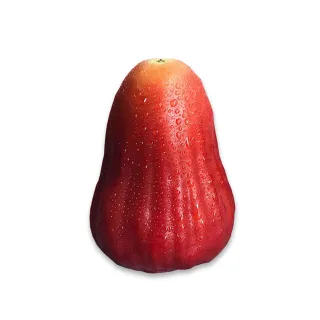 【農頭家】六龜黑糖芭比蓮霧16-20顆4斤裝x1盒(中果_產地鮮採直送_春節禮盒)