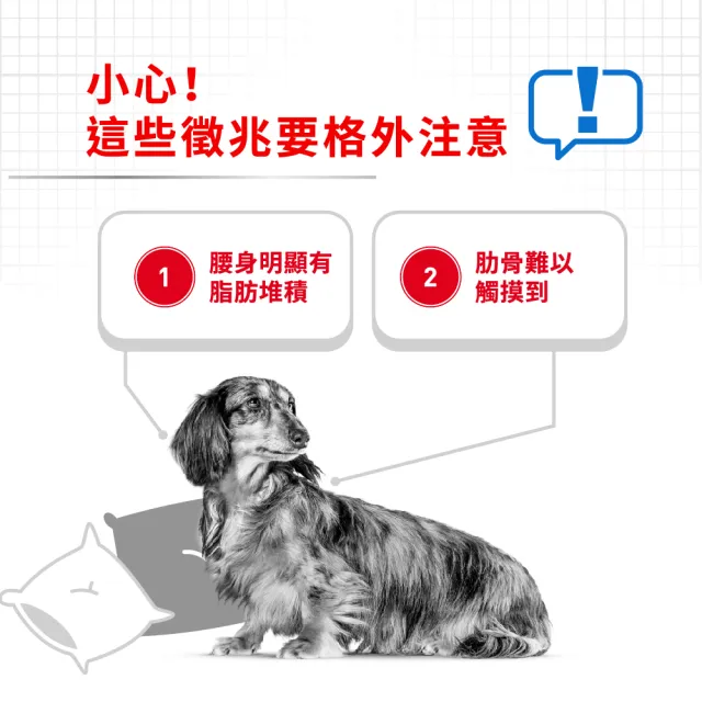 【ROYAL 法國皇家】體重控制小型成犬 LWMN 8KG(狗乾糧 小顆粒 狗飼料)