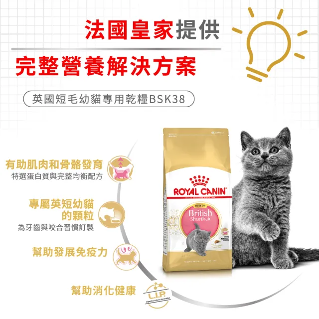 【ROYAL 法國皇家】英國短毛幼貓專用飼料 BSK38 10KG(貓乾糧 貓飼料)