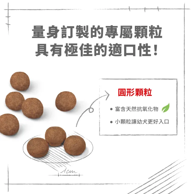 【ROYAL 法國皇家】大型幼犬專用飼料 MXP 15KG(狗乾糧 狗飼料)