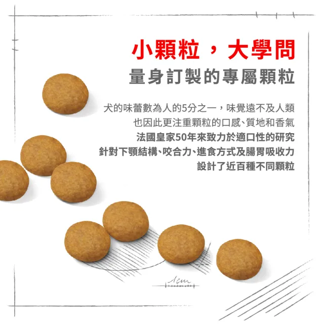 【ROYAL 法國皇家】皮膚保健中型成犬乾糧 DMM 3KG(狗乾糧 狗飼料)