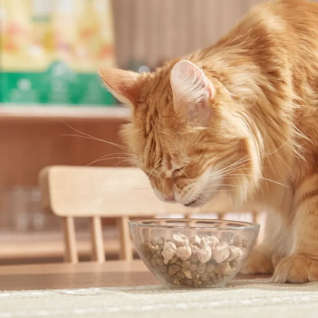 【Hyperr 超躍】貓咪無穀飼料+凍乾 300g 任選(貓飼料 貓糧 高肉量 添加魚油 雞肉 牛肉 羊肉 鹿肉)