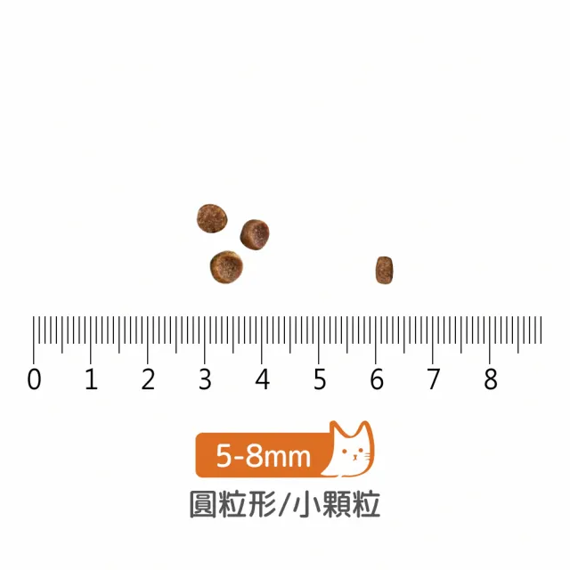 【Now!】成貓鮮魚配方16磅 貓咪無穀天然糧(貓糧 貓飼料 益生菌 蔓越莓)