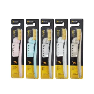 【台隆手創館】韓國WANGTA王打牙刷-軟毛(金毛)