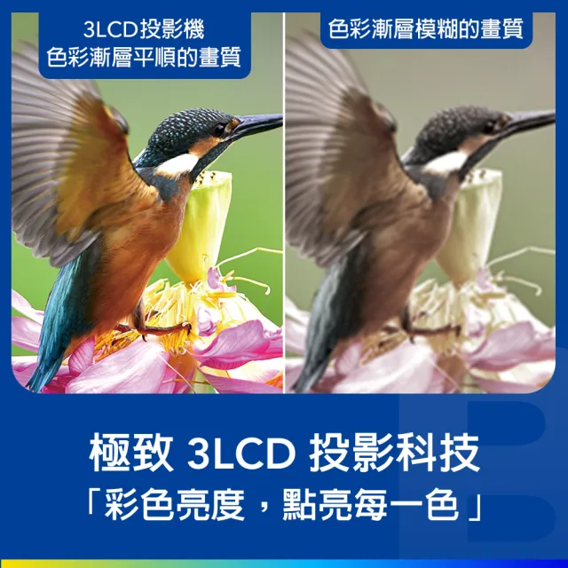 【EPSON】WXGA住商兩用高亮彩3LCD投影機3000流明(CO-W01)