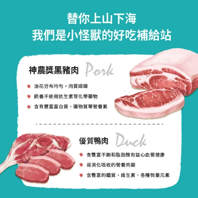 【怪獸部落】犬用1種肉無膠主食罐165gx12入-清燉鴨肉(狗主食罐 全齡適用)