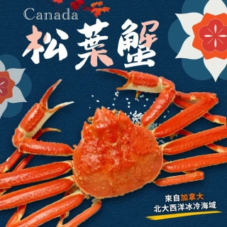 【好神】加拿大熟凍松葉蟹2隻組(375g/隻)