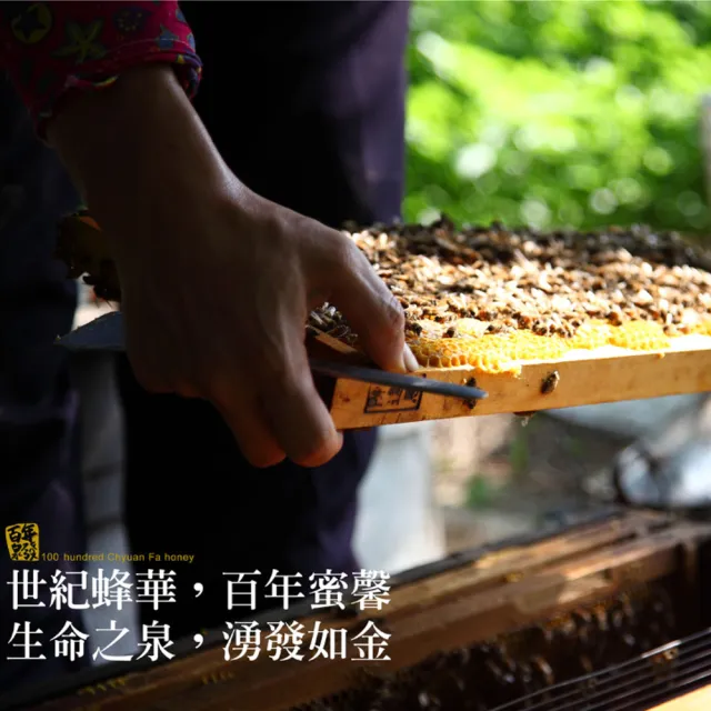 【CHYUANFA 泉發蜂蜜】茶花花粉1000g