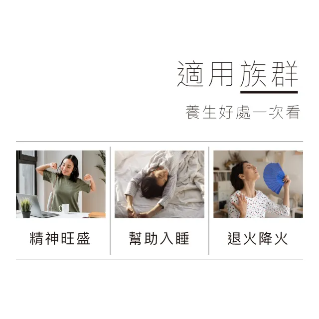 【真蒡】決明子牛蒡菊花茶 4盒入 12包/盒(牛蒡、牛蒡根、牛蒡茶、養生茶、決明子、菊花茶)