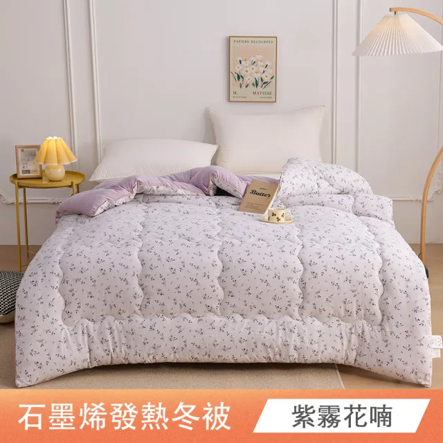 【日禾家居】買一送一 石墨烯保暖水洗被2.5KG 棉被 冬被(雙人180X210cm 多色選)