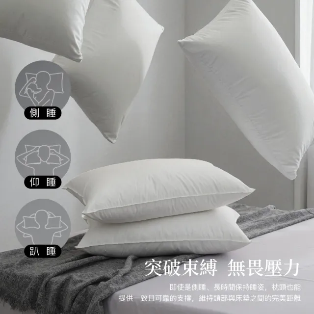 【ISHUR 伊舒爾】星級飯店輕奢款70/30羽絨枕2入 台灣製造(飯店枕/蓬鬆柔軟/枕頭/枕芯)