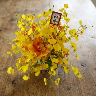 【HUGO DECO 榆果傢飾】舞動富貴招財跳舞蘭香氛花禮(春節/過年/新春/送禮/祝賀)