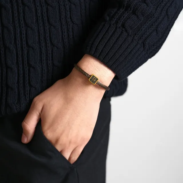 【點睛品】Charme XL 酷黑十二生肖 黃金串珠(任選)