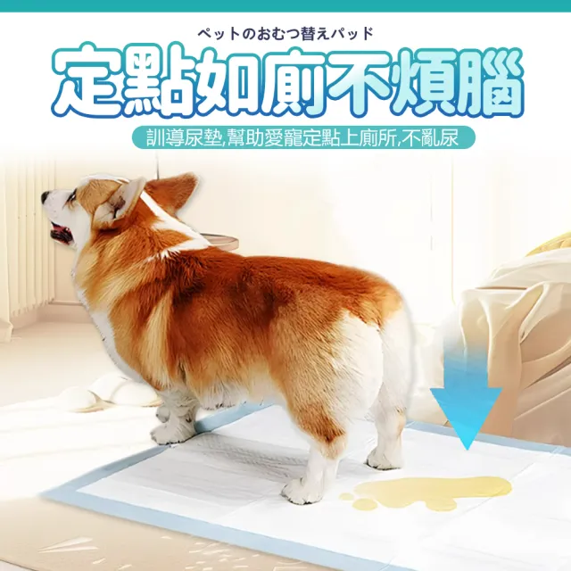 【LIKE PET】『10入組』寵物吸水尿布墊 1.2KG(一次性尿墊 狗尿片 免洗尿墊)