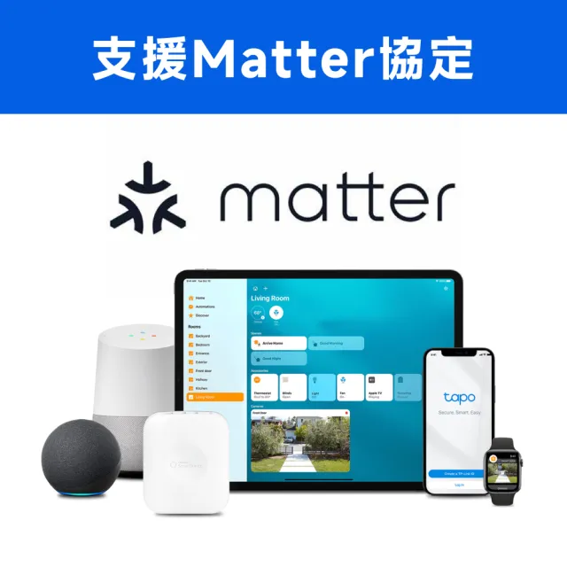 (兩入組)【TP-Link】智慧插座 遠端控制 過載保護 安全認證 電力監控 支援Matter(Tapo P110M)