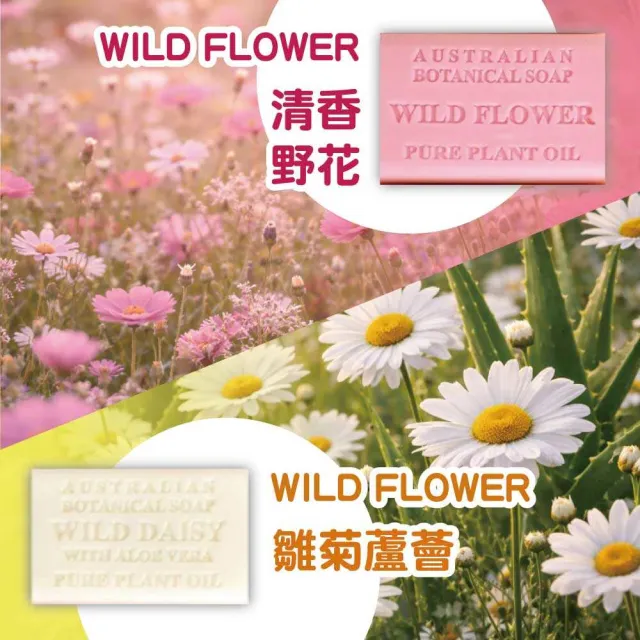 【Australian Botanical Soap】澳洲製植物精油香皂 4種香味(200g*8入/盒)