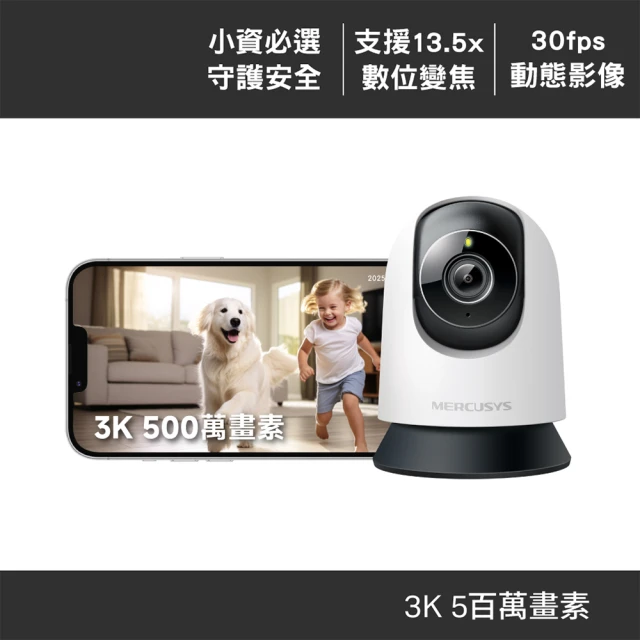 網路監視器