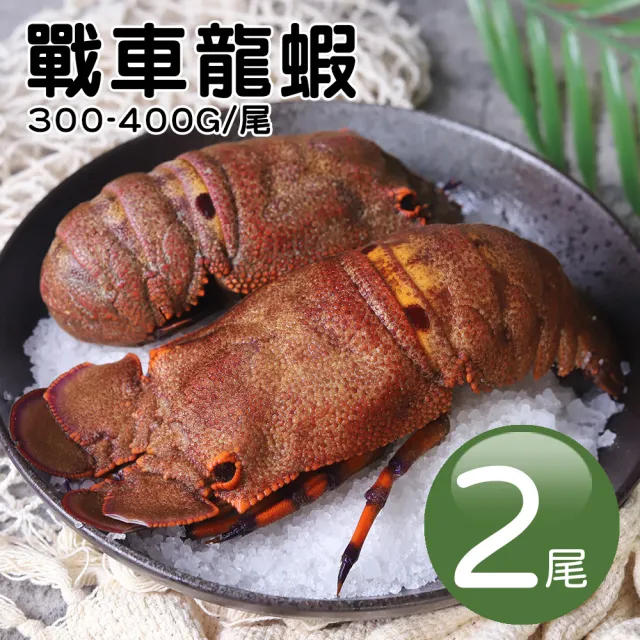 | BALIMAN情報局 【2026】龍蝦推薦10款高評價人氣品牌排行榜 | BALIMAN情報局