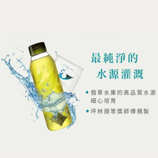 【Teascovery 發現茶】冷泡又一春青茶茶包 (20入/盒；清新回甘)