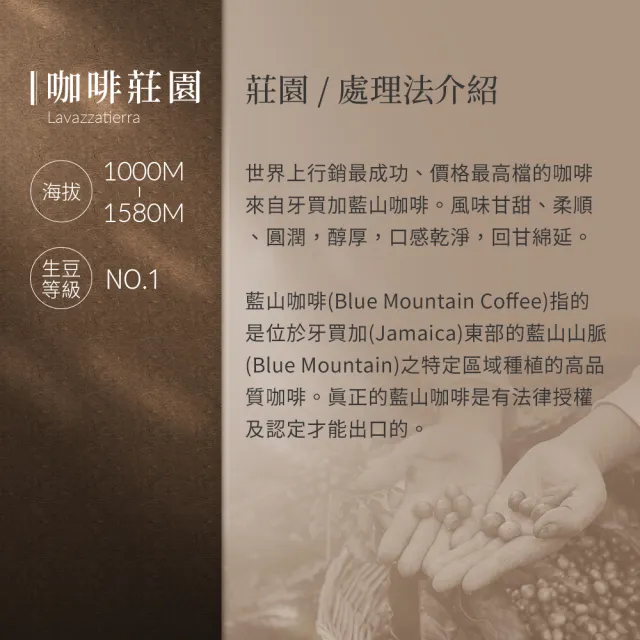 【JC咖啡】牙買加 藍山 No.1 水洗 咖啡豆1包│淺中焙(半磅;230g;莊園咖啡 新鮮烘焙)