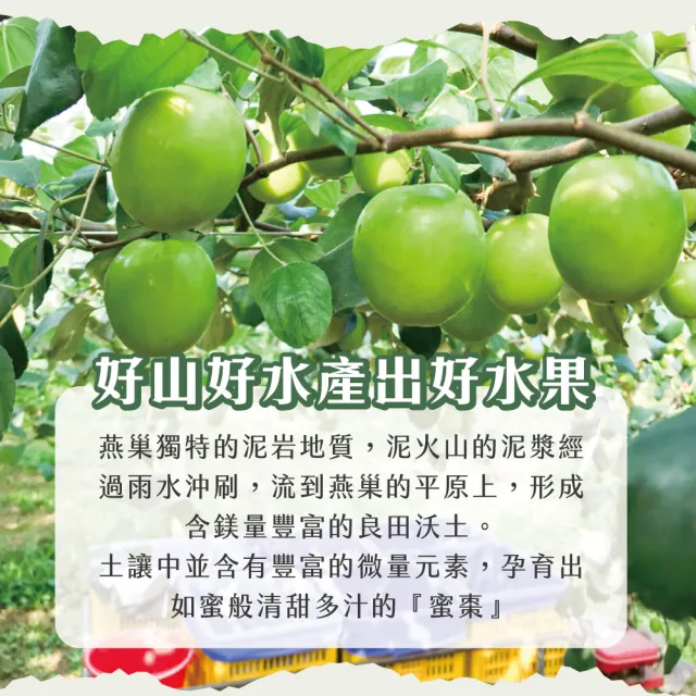 【初品果】高雄燕巢牛奶蜜棗禮盒4台斤x2盒(15-22顆/盒_雪麗蜜棗_春節禮盒/春節送禮_好友揪團_企業送禮)