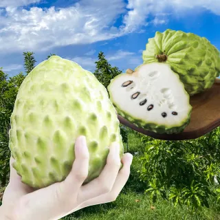 【初品果】台東知本鳳梨釋迦禮盒5斤3-7顆x1盒(3/2陸續出貨_春節禮盒/春節送禮_重量含箱重)