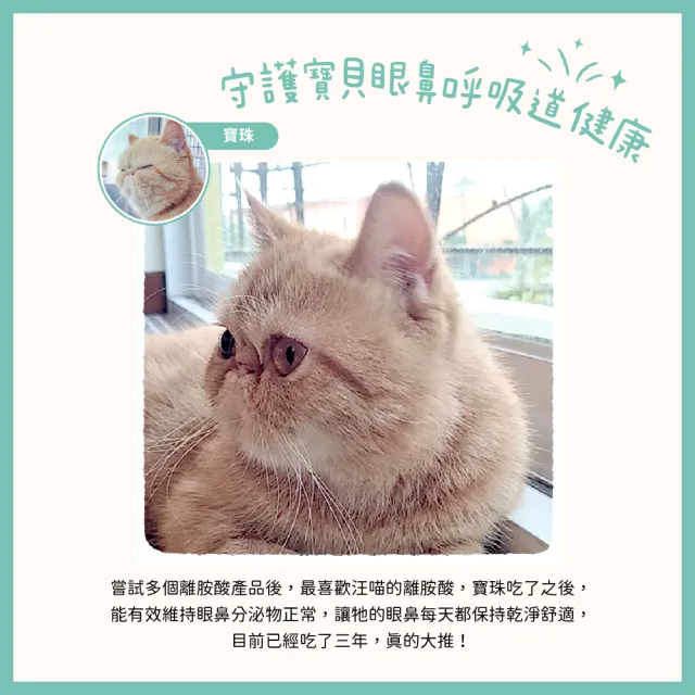 【汪喵星球】汪喵100%PRUE離胺酸 50g(犬貓保健)