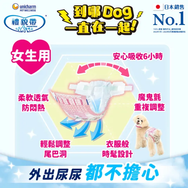 【Unicharm Pet 禮貌帶】長時間犬用禮貌帶/生理褲2入組(狗尿布/公母狗共用/S-L)