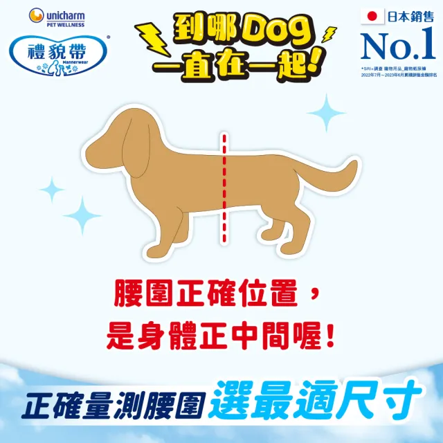 【Unicharm Pet 禮貌帶】長時間犬用禮貌帶/生理褲2入組(狗尿布/公母狗共用/S-L)