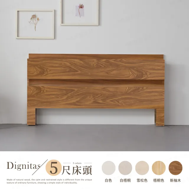 【H&D 東稻家居】DIGNITAS狄尼塔斯5尺插座雙人床頭片 MIT 台灣製(附燈 床頭箱 多色選)