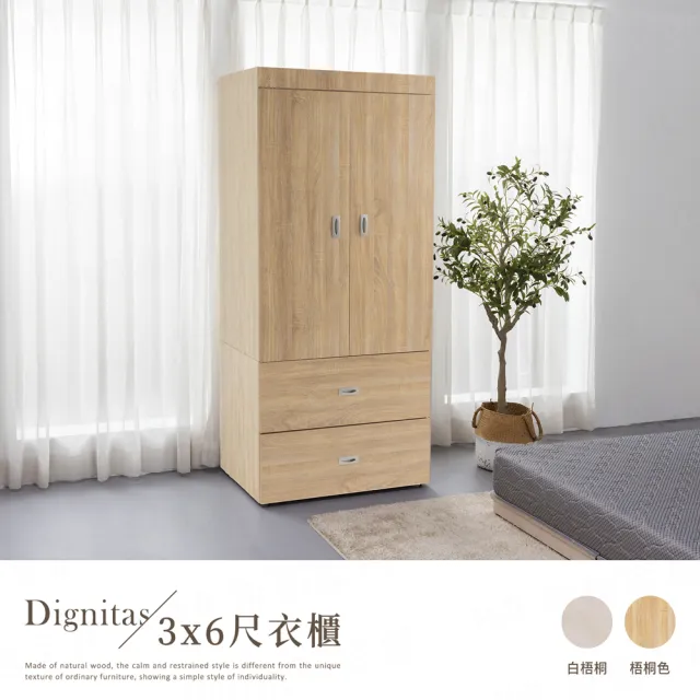 【H&D 東稻家居】DIGNITAS狄尼塔斯3X6尺二抽衣櫃(MIT 台灣製 衣櫃 衣櫥 免組裝)
