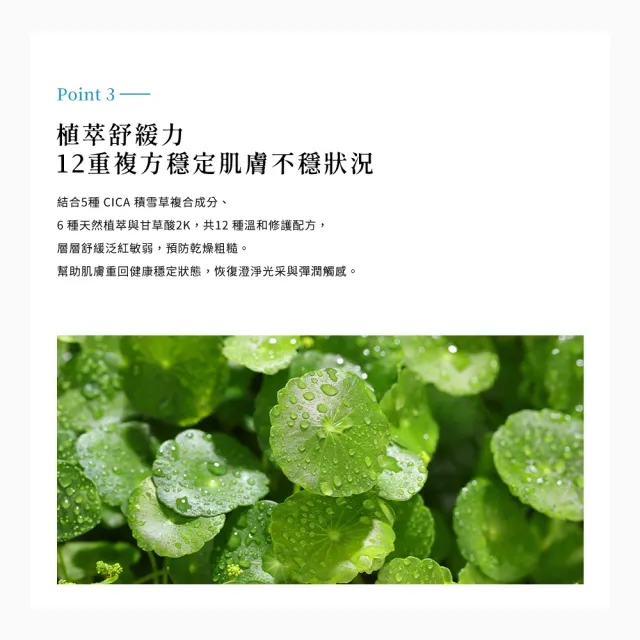 【AZELAIN 艾姿琳】壬二酸淨痘安瓶30mL(杜鵑花酸/積雪草/毛孔粗大/改善膚況/神經醯胺/玻尿酸/膠原蛋白)