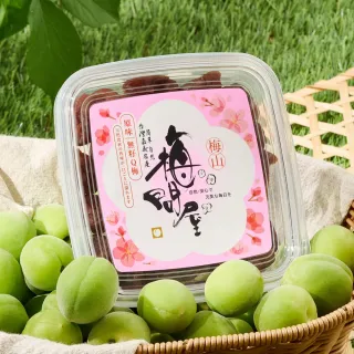 【梅問屋】原味無籽Q梅 盒裝110g︱蜜漬熟成日曬淬鍊 台灣青梅 無添加梅子 嘉義名產 SGS認證