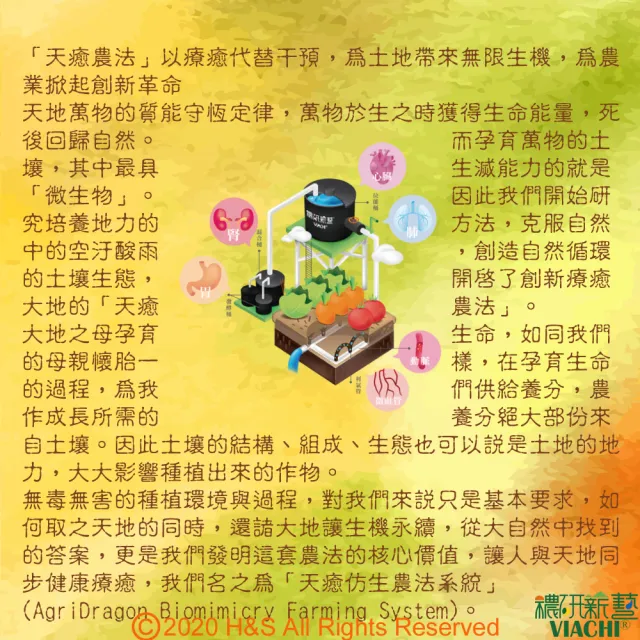 【穠研薪藝】天癒五生．元液  穠研靈蔘750ml/瓶(全異麥芽寡糖配方)