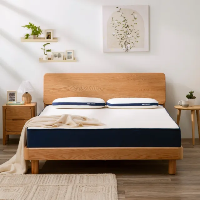 【hoi! 好好生活】藍盒子記憶綿三段式獨立筒床墊 Z1-台規雙人5尺 150*190