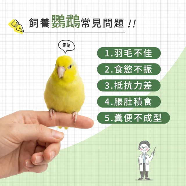 【WeWant 威旺】鸚鵡用益生菌+益生元-腸胃2菌配方(鸚鵡益生菌/鳥類益生菌/鸚鵡保健)