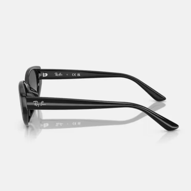 【RayBan 雷朋】復古潮流貓眼膠框漸層太陽眼鏡(RB4457D-667711 55mm)