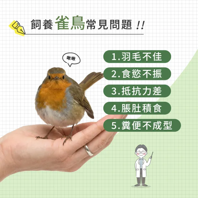 【WeWant 威旺】雀鳥用益生菌+益生元-腸胃2菌配方(雀鳥益生菌/鳥類益生菌/雀鳥保健)