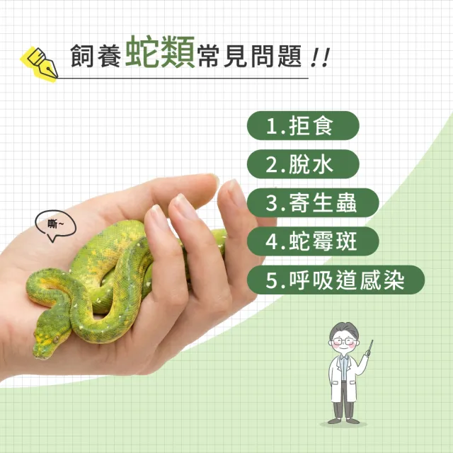 【WeWant 威旺】蛇類用益生菌+益生元-腸胃2菌配方(蛇類益生菌/兩棲爬蟲益生菌/蛇類保健)
